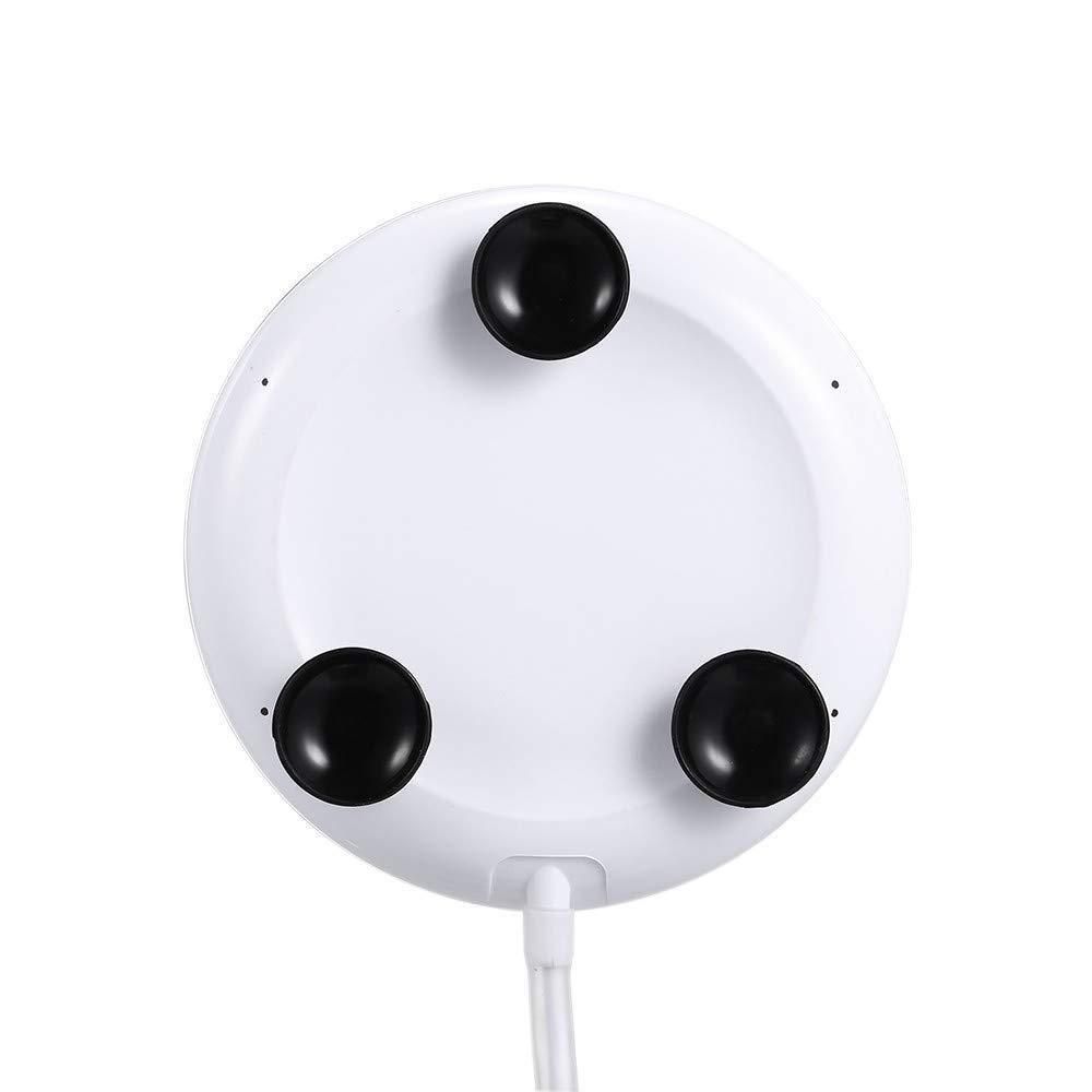 LuxeSpin: The Elegant 2 in 1 Mini Washer Redefined