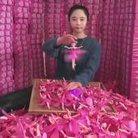 Magic Flying Fairy Princess Doll
